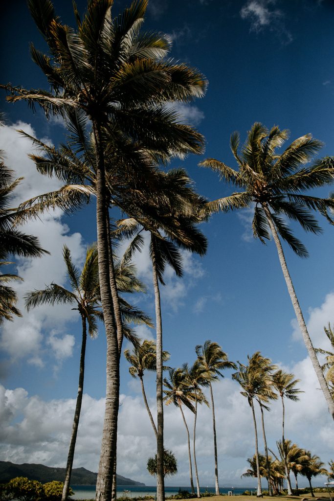 Intercontinental-hayman-island-wedding-Neil-Hole-Photography-Lauren-+-Ryan